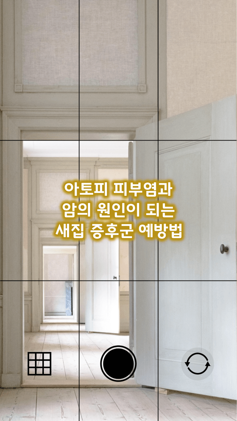 새집증후군 예방법