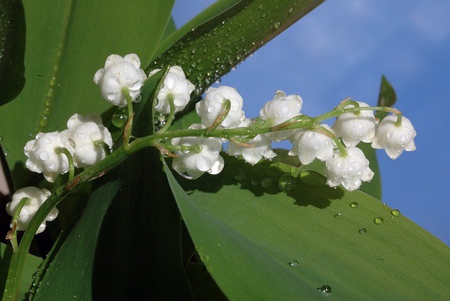 ์๋ฐฉ์ธ๊ฝ ํฌํ