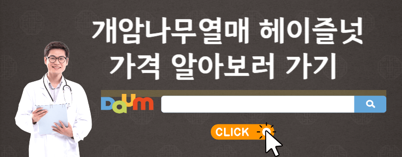 개암나무열매