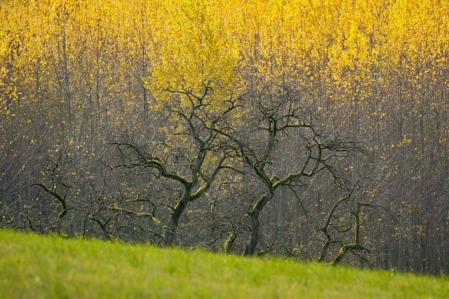 완주 대둔산축제 기본정보&amp;#44; 라인업&amp;#44; 트레킹 신청