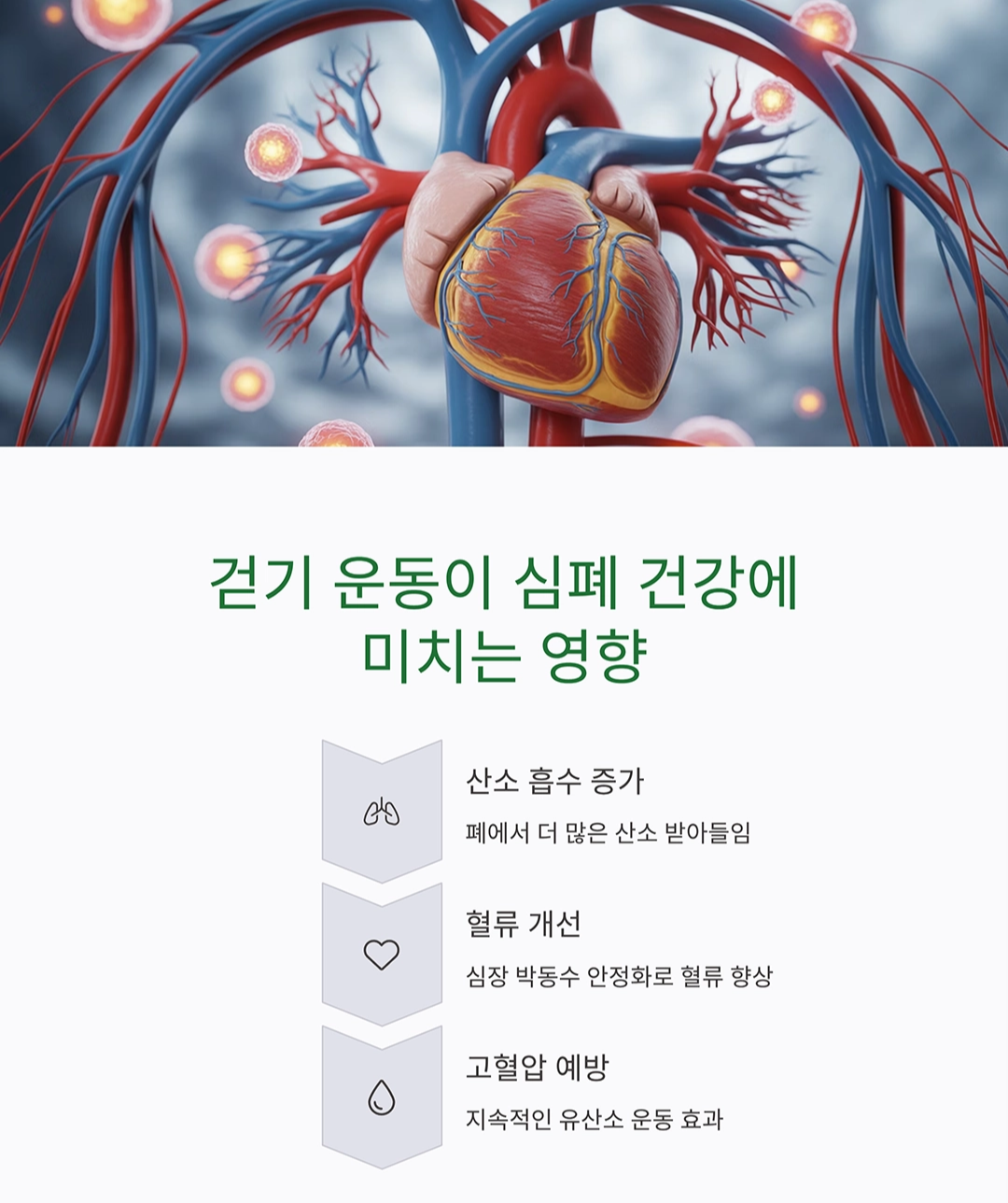 하루 만보 걷기로 심폐 건강 챙기는 똑똑한 습관