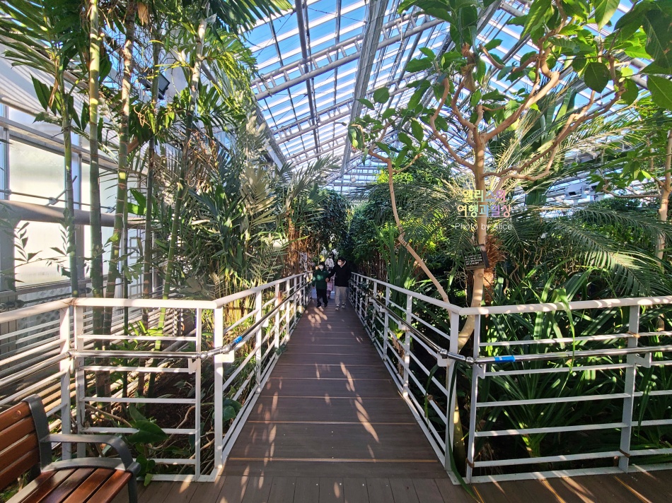 경주 동궁원 식물원 스카이워크 경주 가볼만한곳