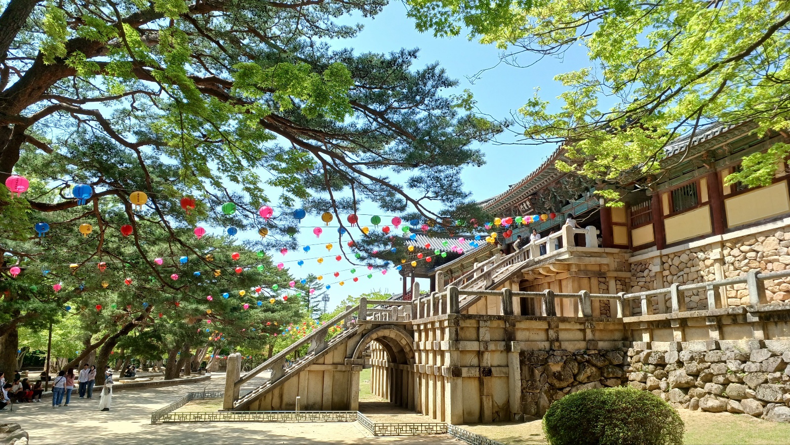 경주 불국사13