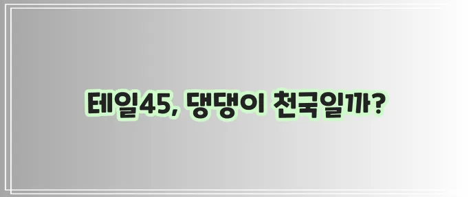 반려견과 행복한 시간 테일45에서 함께 누려봐요!