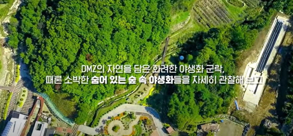 양구수목원 관광