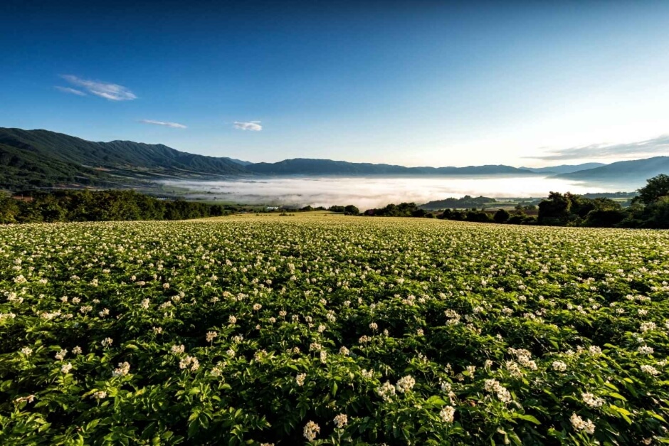 양구 가볼만한곳 베스트 10