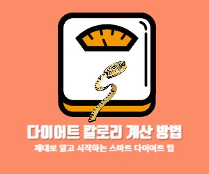 다이어트 칼로리 계산 방법