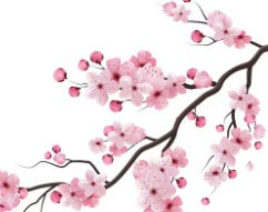 도쿄-벚꽃-개화시기-4