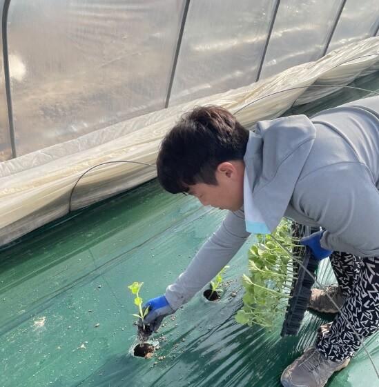 생방송투데이 이 주의 장바구니 경북 고령 쌍둥이메론농장 하미과 & 설향 멜론 주문방법 생방송투데이 3776회