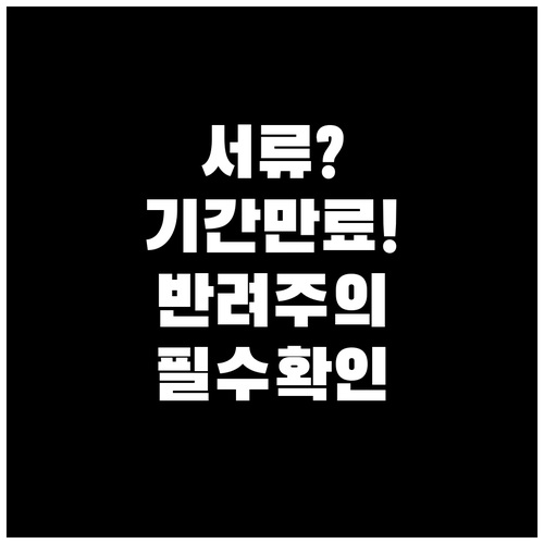 캄보디아 결혼 서류 유효기간과 반려 ..