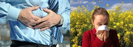 소화불량,-알레르기-반응