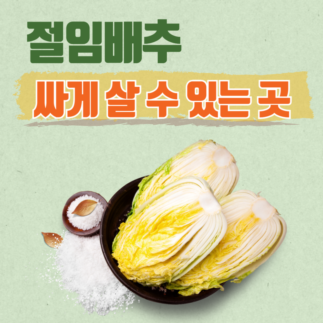 절임배추 싸게 살 수 있는 곳 BEST3 사전예약방법