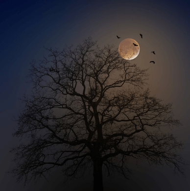 오컬트 뜻, 영화 총정리