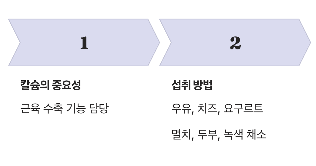 튼튼한 뼈와 근육의 기본, 칼슘
