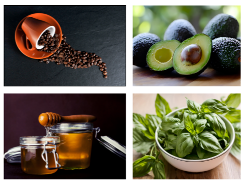 커피원두 아보카도 꿀 바질