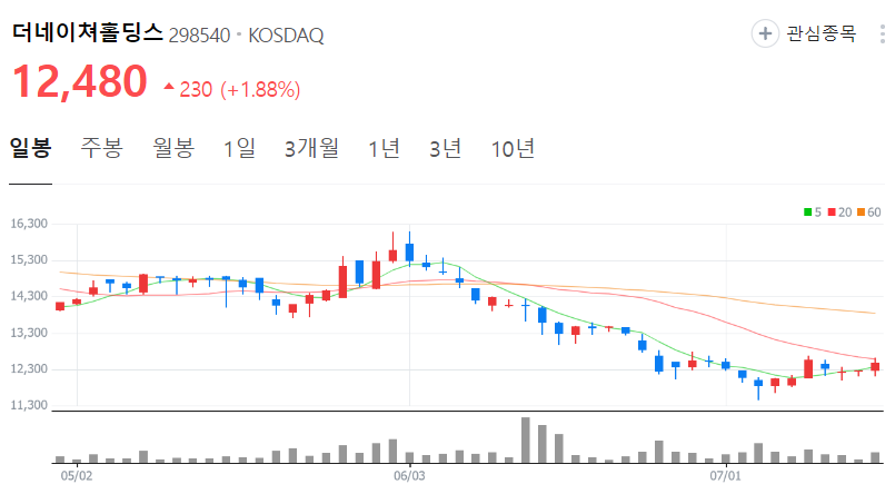 더네이쳐홀딩스-주가-일봉