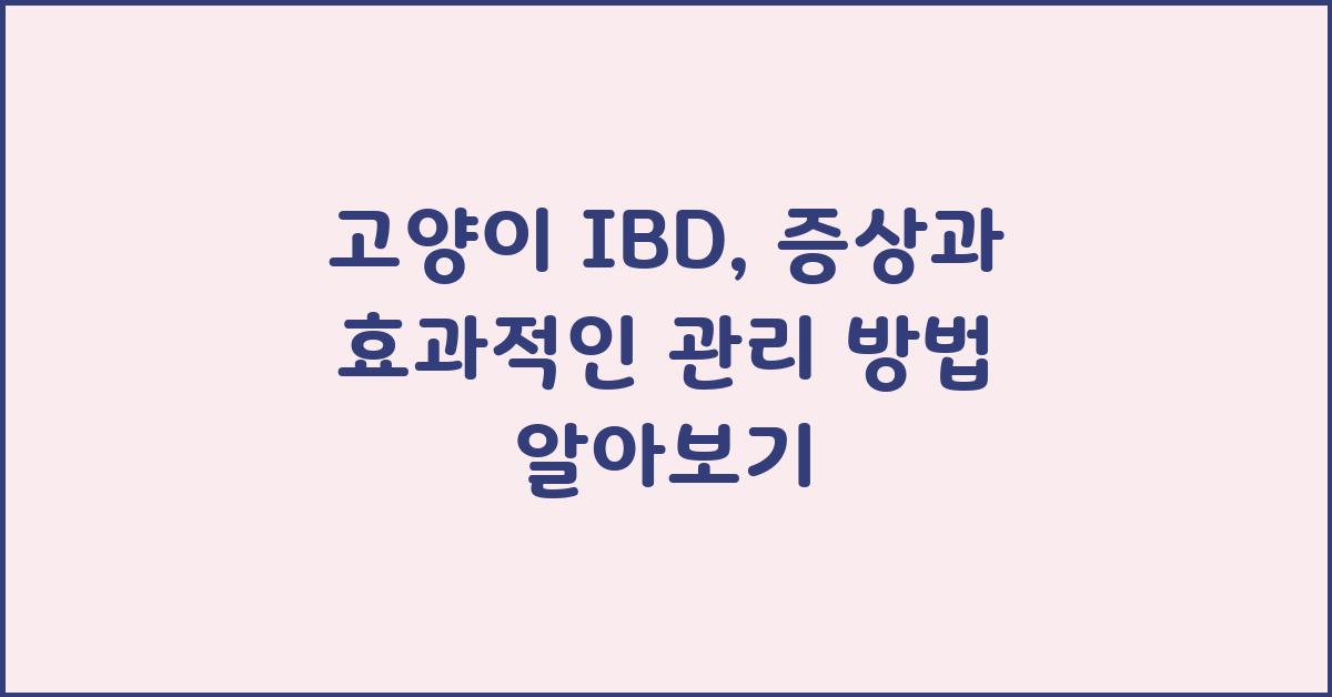 고양이 ibd