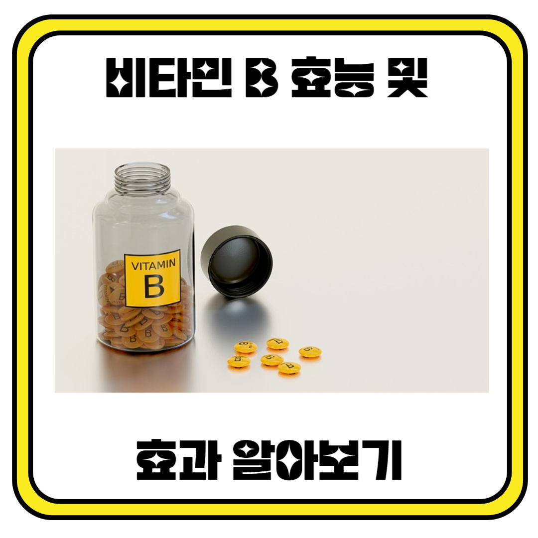 비타민 B 효능 및 효과 알아보기
