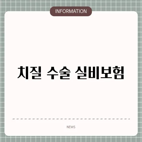 치질 수술 실비보험