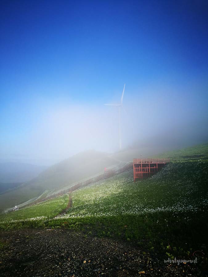 아침해가 떠오른 육백마지기
