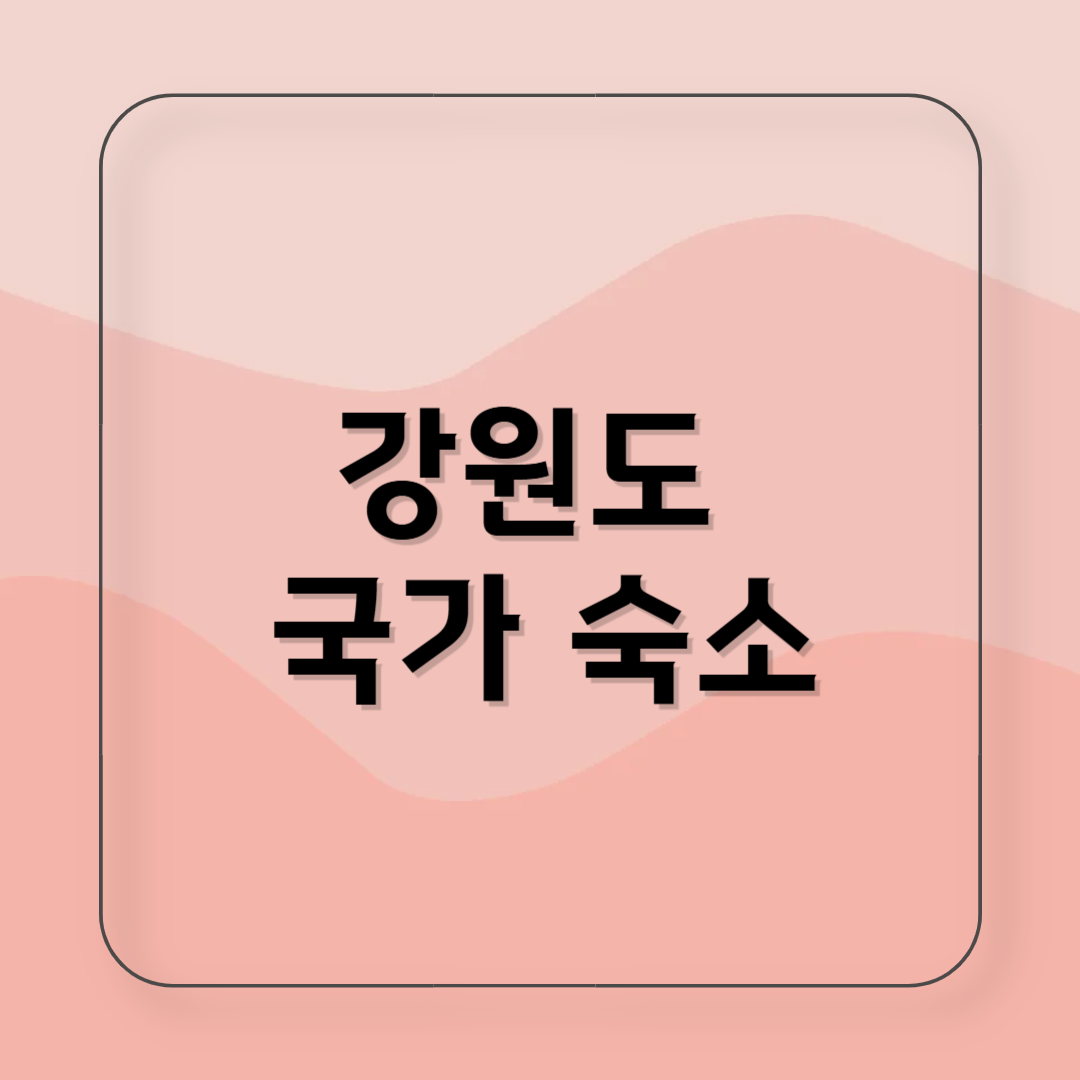 국가 숙소 Best 4 강원도 가성비 여행