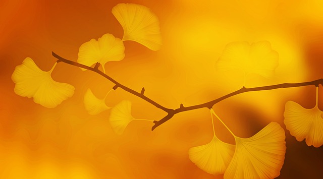 보청기 보조금 신청방법