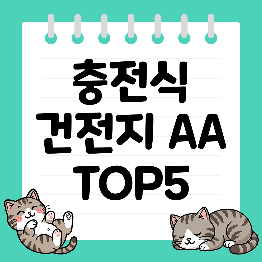 경제적이고 친환경적인 충전식 건전지 AA 추천 순위 TOP5