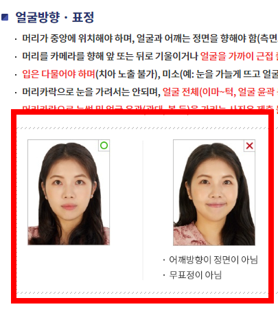 여권사진 규격