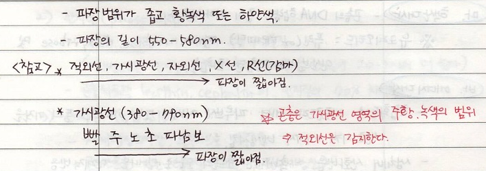 발광기작의 특징