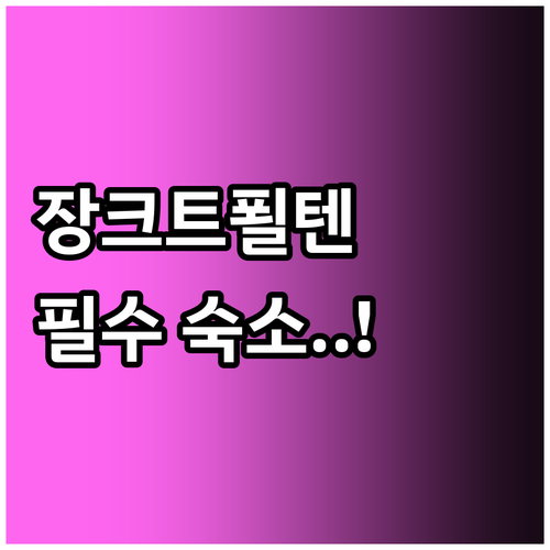오스트리아 장크트푈텐 여행 시청사 성..