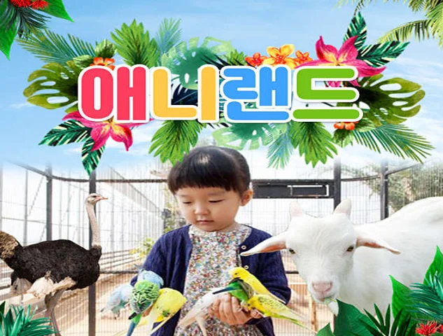 애니랜드