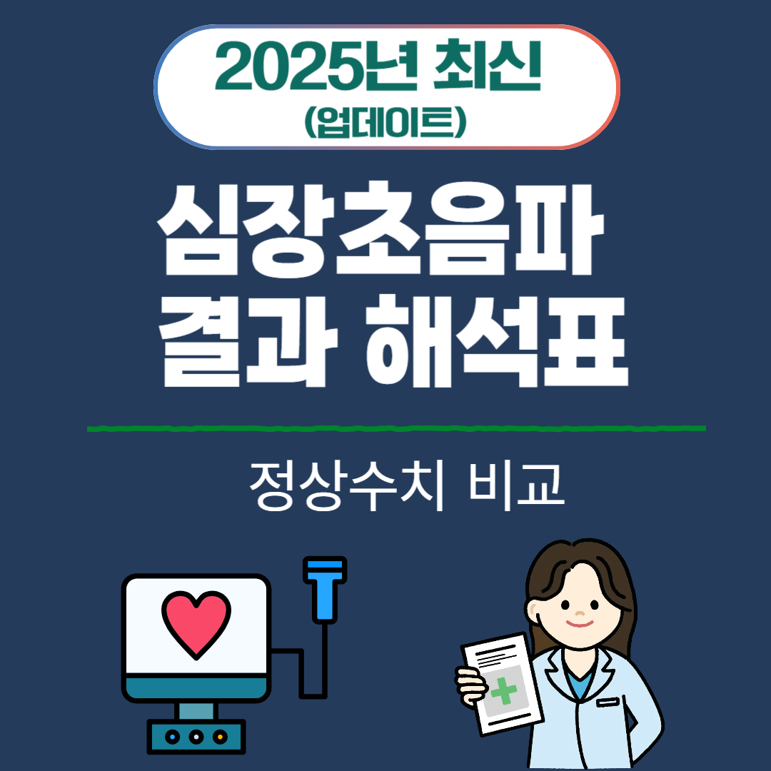 심장초음파 결과 해석표 & 정상수치 비교 (2025년 최신)
