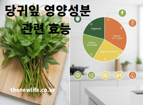 당귀잎의 비타민·미네랄·폴리페놀 등 주요 영양성분을 인포그래픽으로 표현한 이미지와 신선한 당귀잎 실물 사진