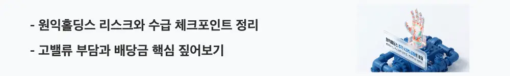 원익홀딩스 주가 전망: '원익홀딩스 리스크와 수급 체크포인트 정리'라는 문구가 포함된 웹배너 이미지. 이 이미지는 원익홀딩스의 고밸류·수급 리스크와 배당 현황을 시각적으로 전달하며, 블로그의 원익홀딩스 주가 전망 주제와 관련된 내용을 설명함