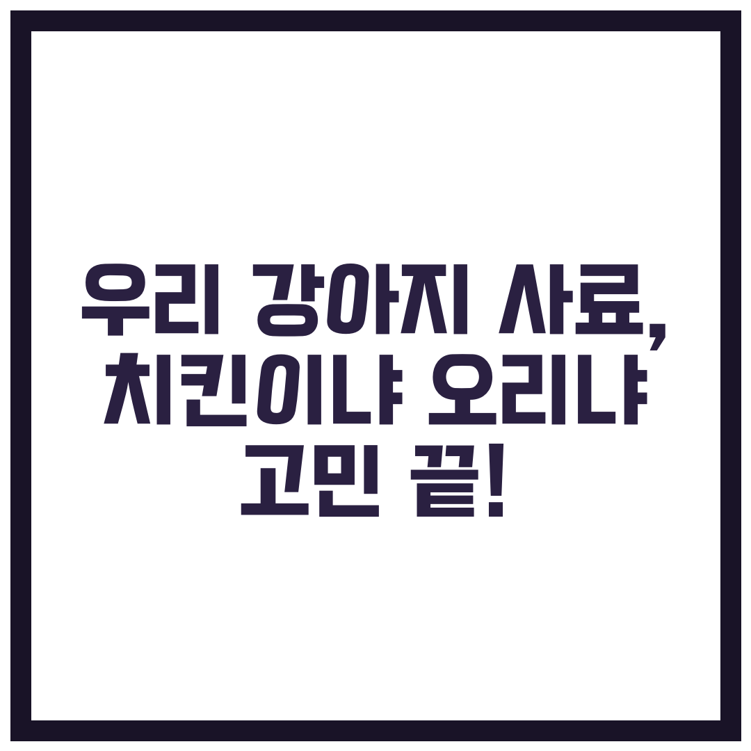 우리 강아지 사료, 치킨이냐 오리냐 고민 끝!