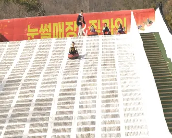 강진청자축제_14