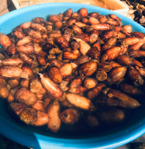 해동수산식품
