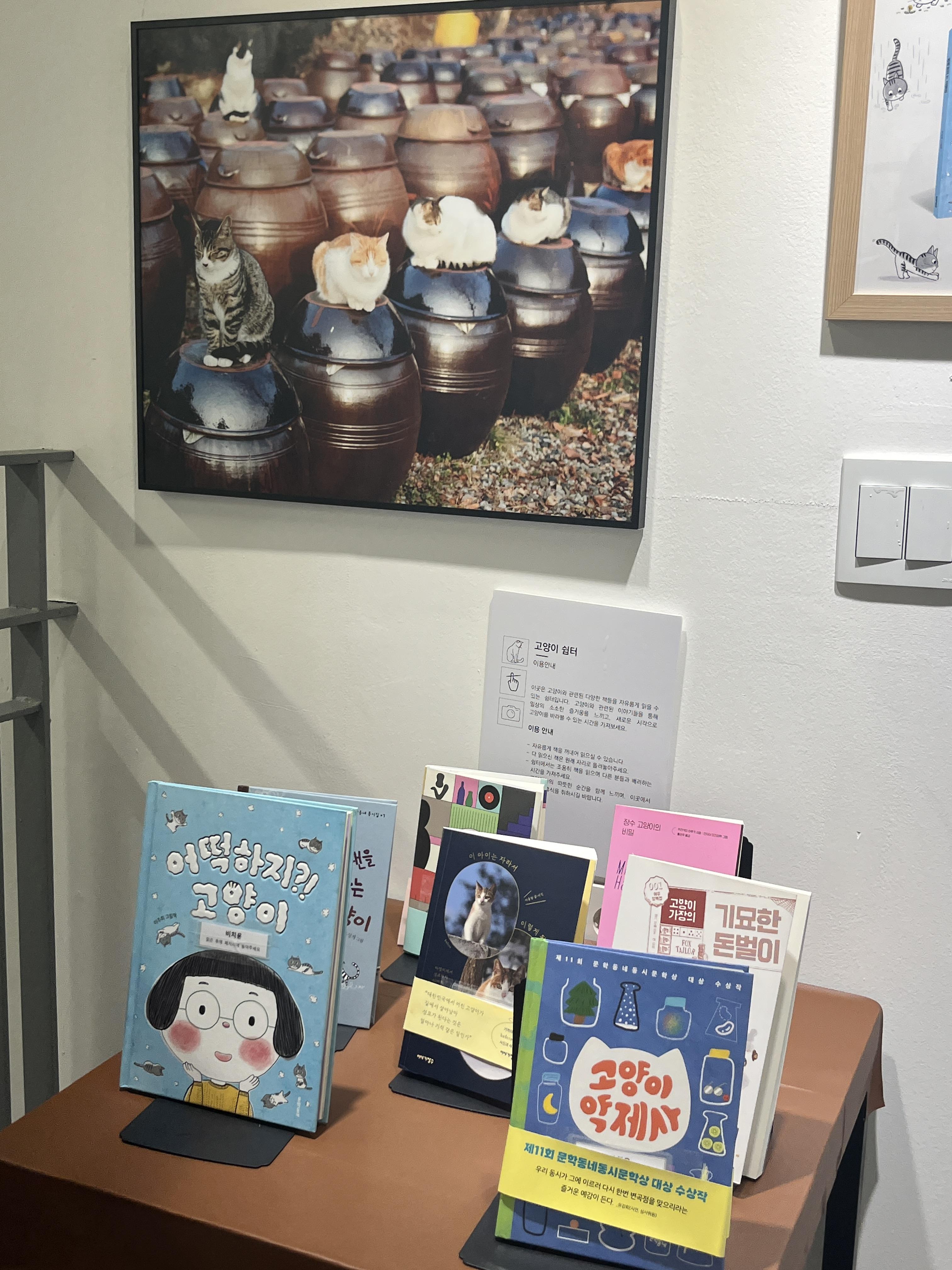 마음이 고양고양