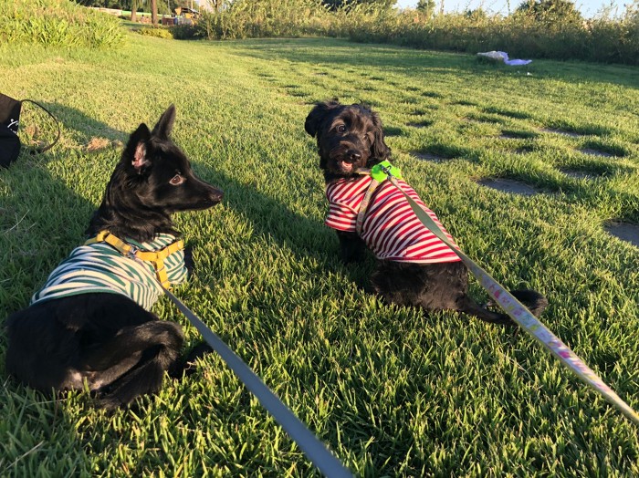 300일 (2018.9.22)_84