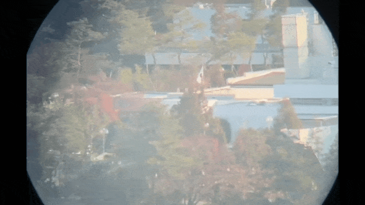 고양이뉴스 원재윤 피디 프로필