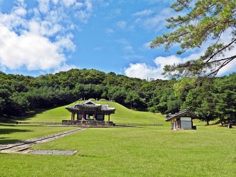 구리 – 동구릉 숲길·한강시민공원 도보 코스