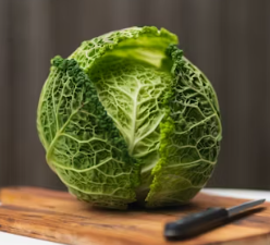 역류성식도염에 좋은 음식 영양제 식단