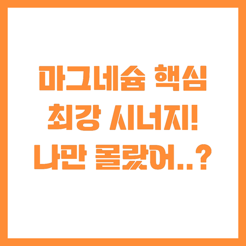 마그네슘 음식과 영양제 최적의 병행 ..