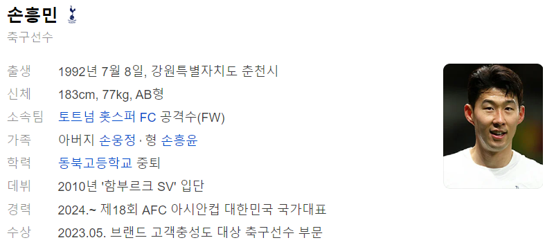 손흥민 프로필_출처 : 다음 인물검색