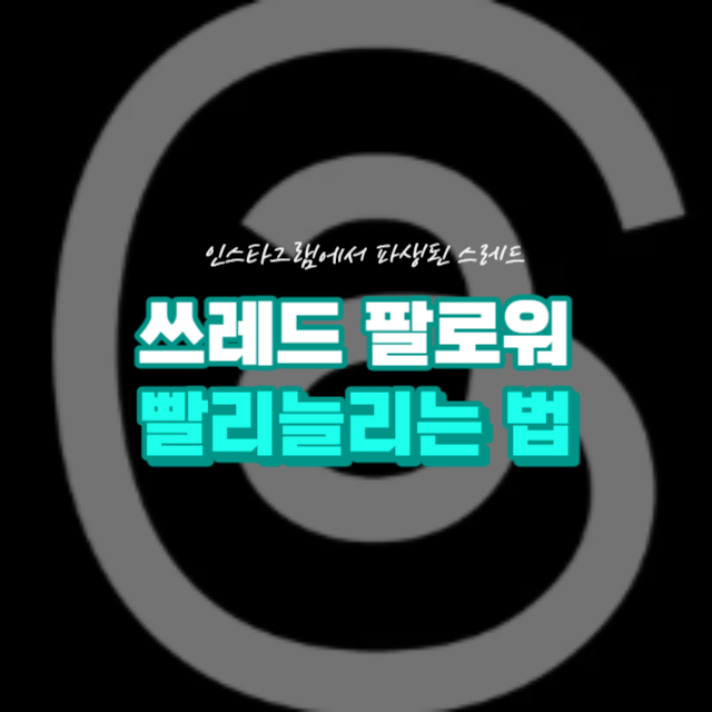 쓰레드 팔로워