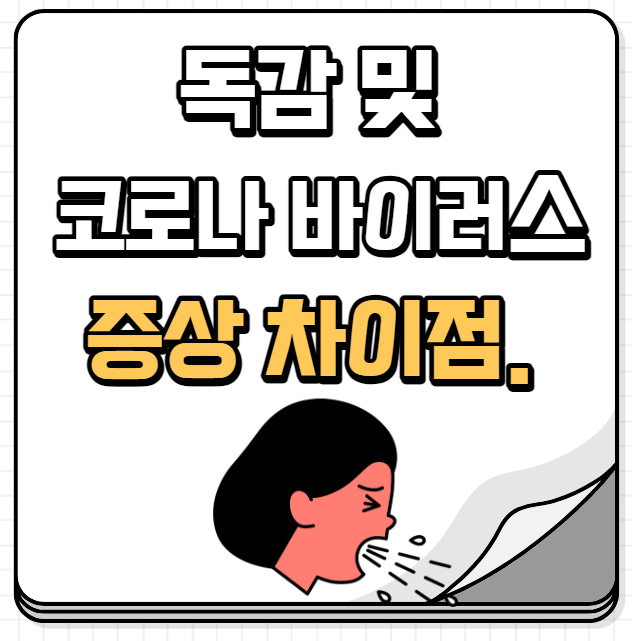 독감 코로나 차이