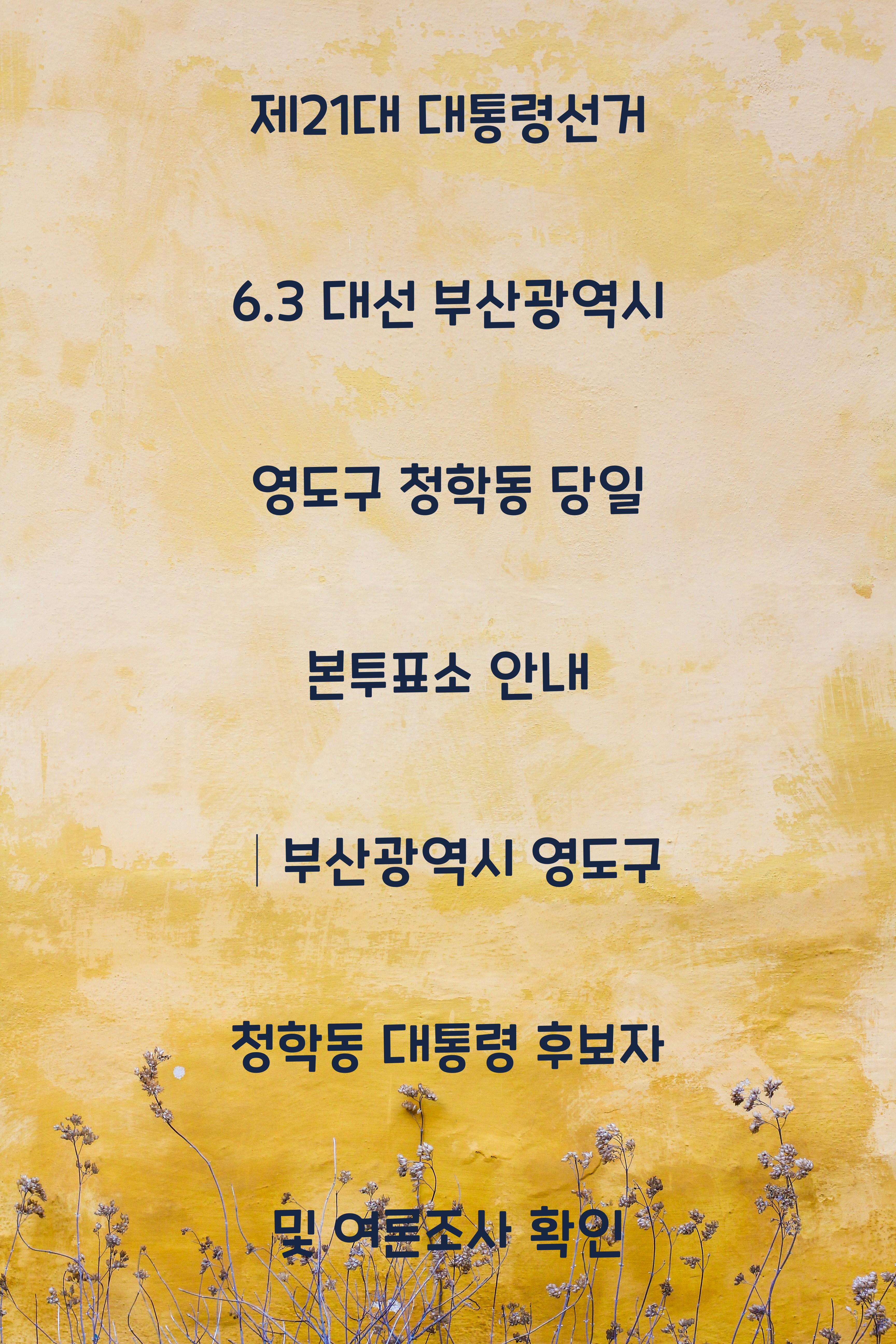 제21대 대통령선거 6.3 대선 부산광역시 영도구 청학동 당일 본투표소 안내 │부산광역시 영도구 청학동 대통령 후보자 및 여론조사 확인