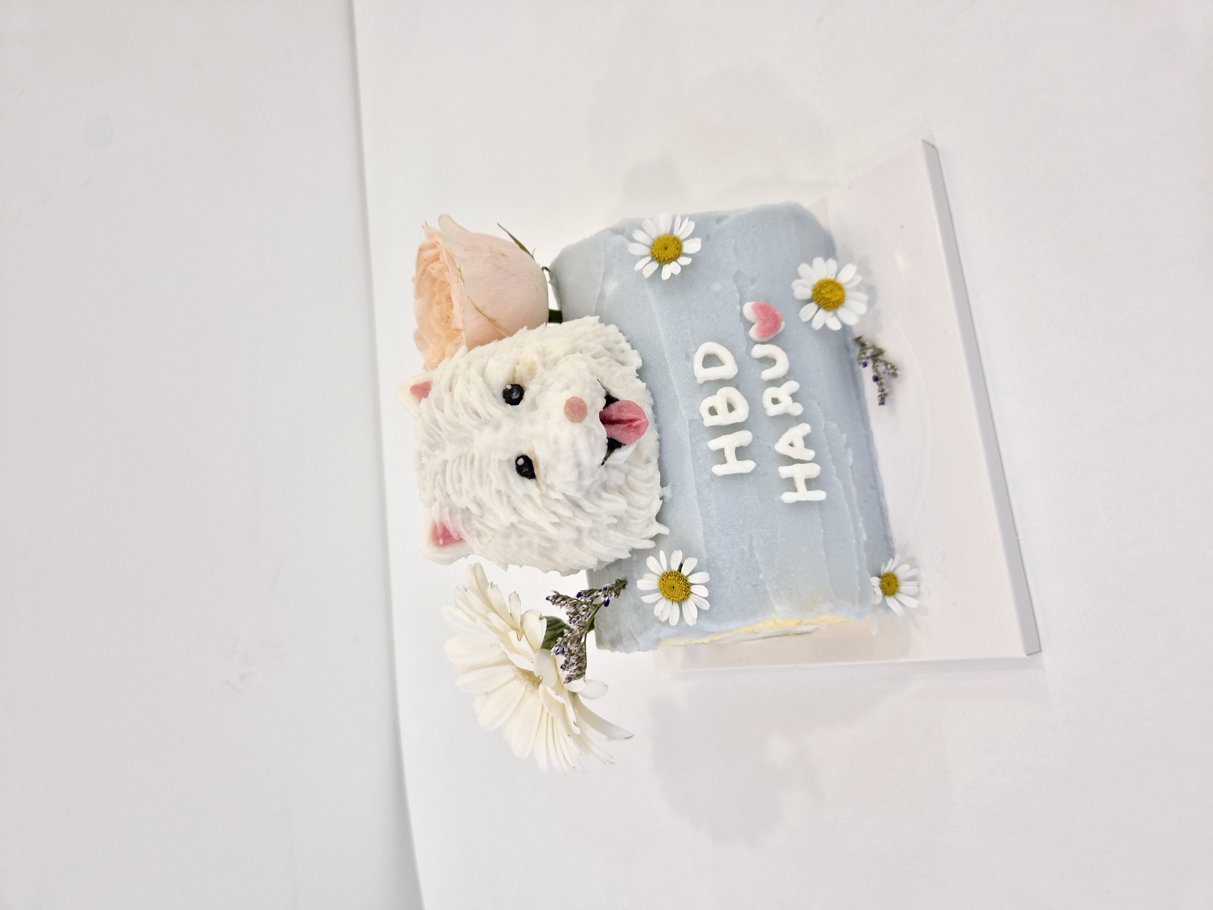 강아지 케이크