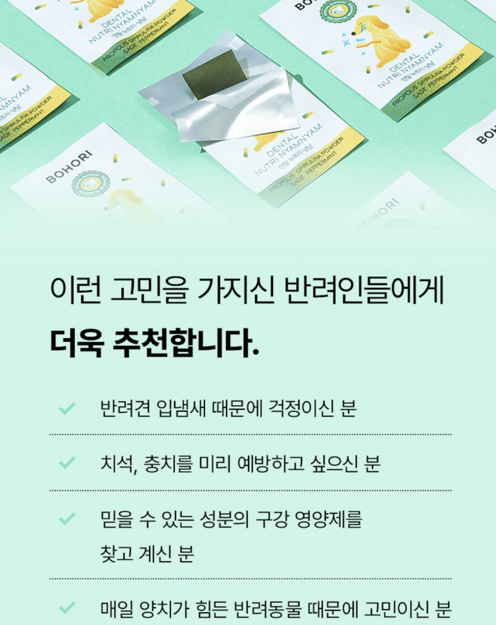 강아지 치석제거 카누들과 덴탈뉴트리냠냠 비교 및 구매정보