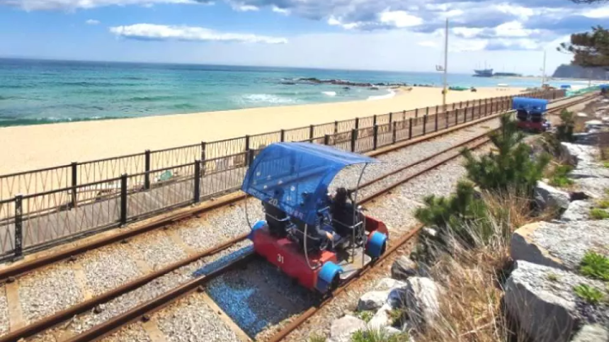 2025년 4월 국내 여행지 추천! 봄꽃과 함께 떠나는 최고의 여행지